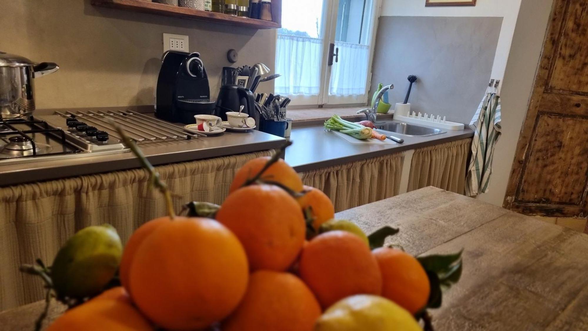 Il Piccino 29, Esperienza Romantica In Borgo.... Montescudaio Exterior foto